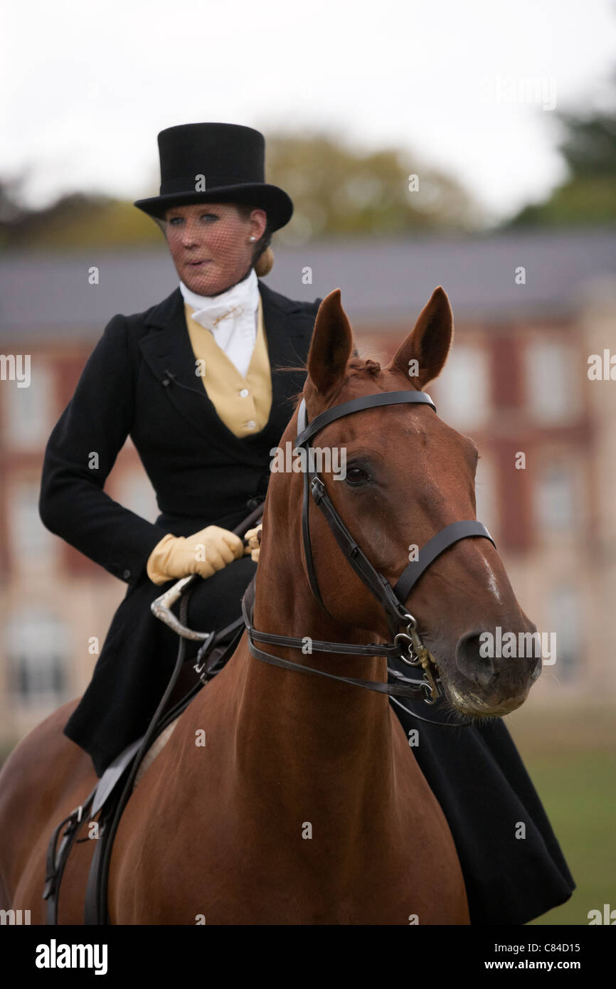 side saddle rider horse female Sandhurst warmblood Stock Photo