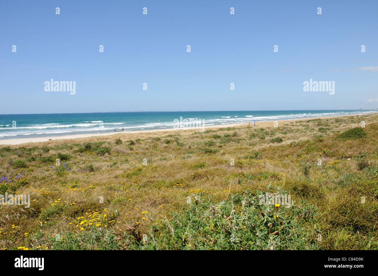 Papamoa beach near Tauranga and Mount Maunganui in the Bay