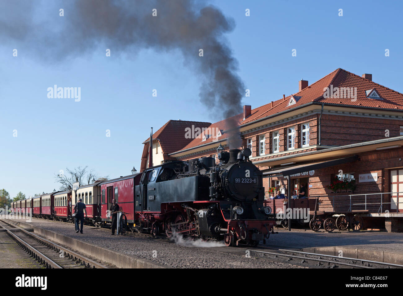 steam train 'Molli', Kuehlungsborn West, Baltic Sea Coast, Mecklenburg-West Pomerania, Germany Stock Photo