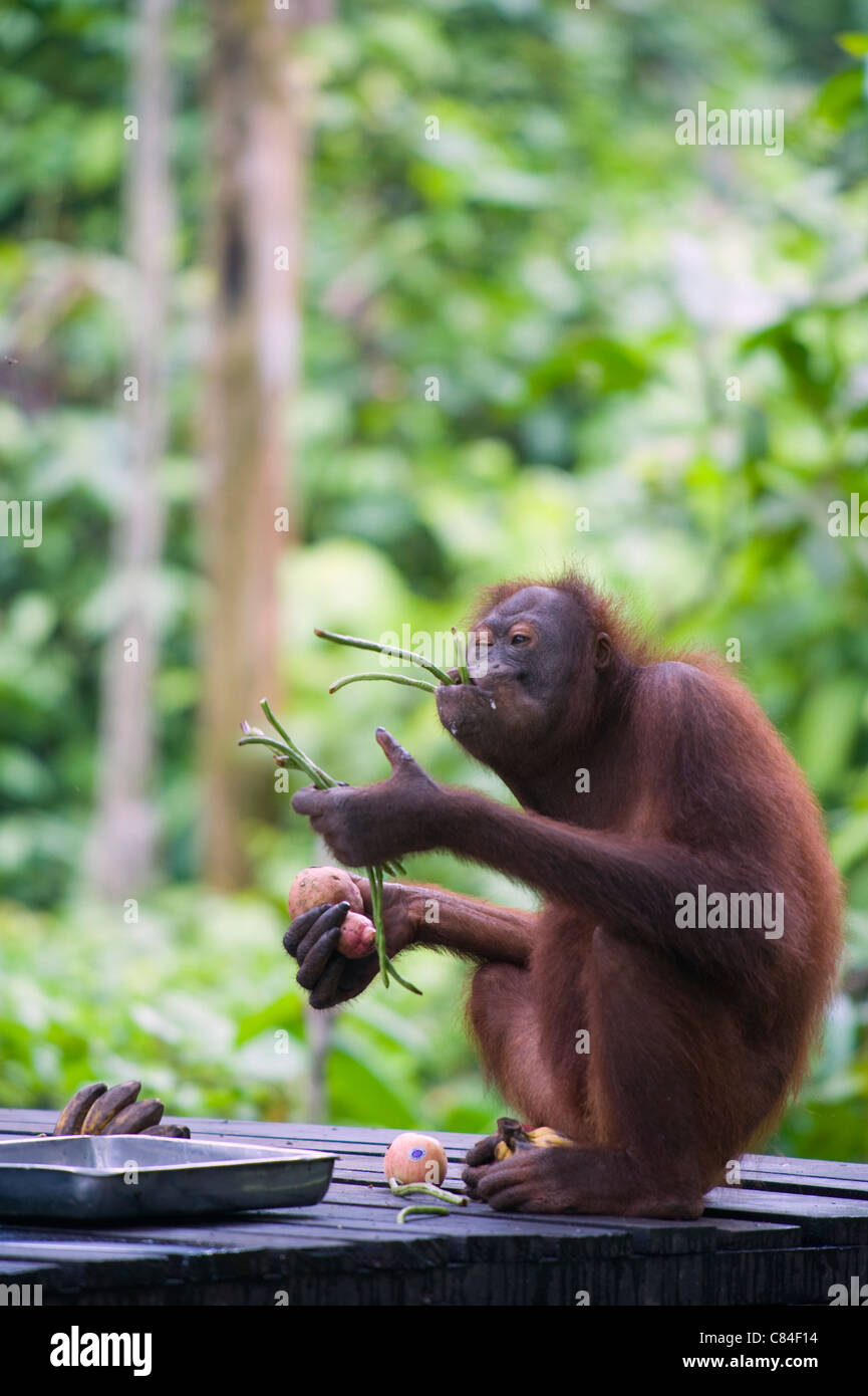 Chozilgan vagina fotosurati
