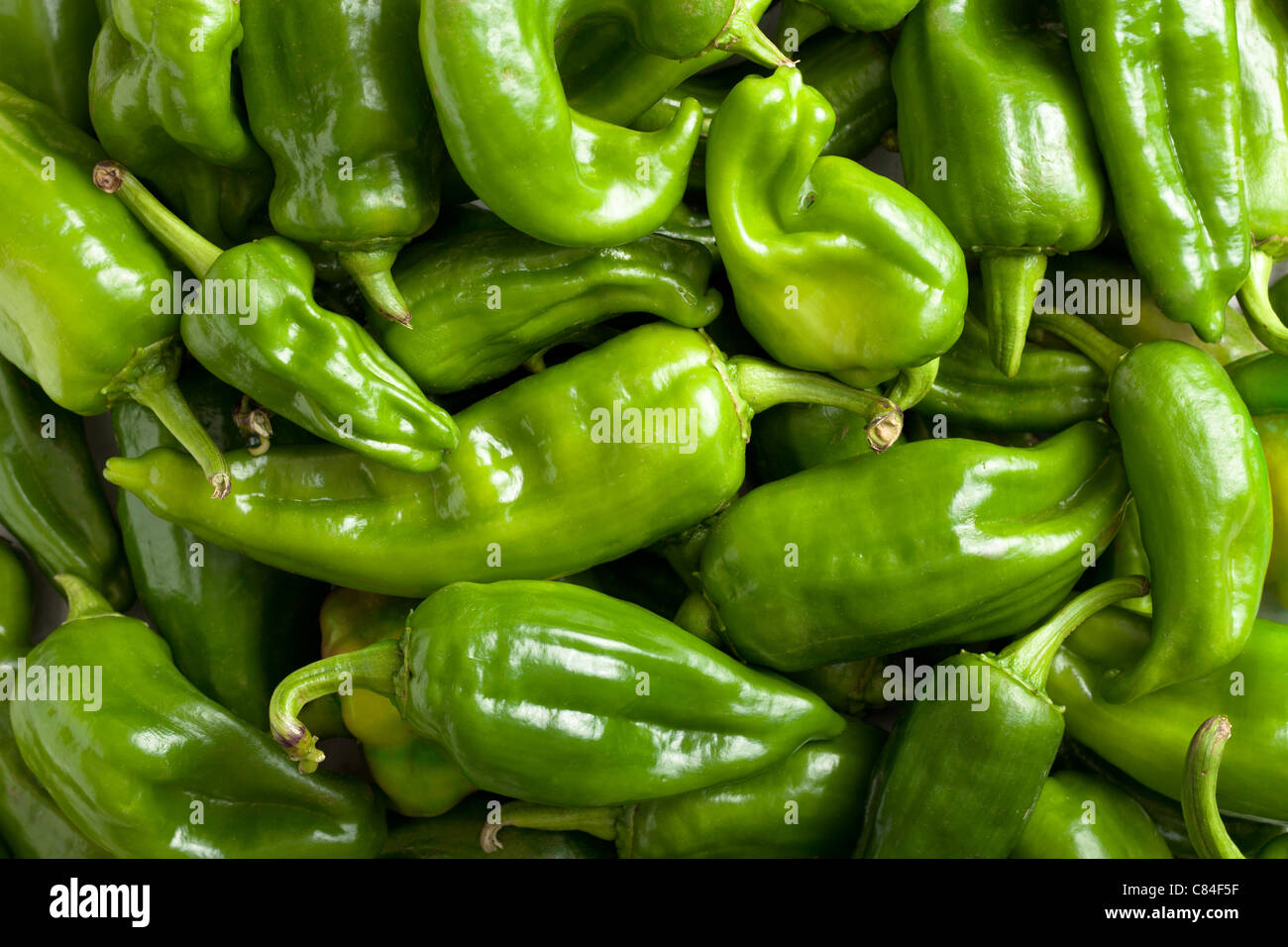 Green Bell Peppers Stock Photo