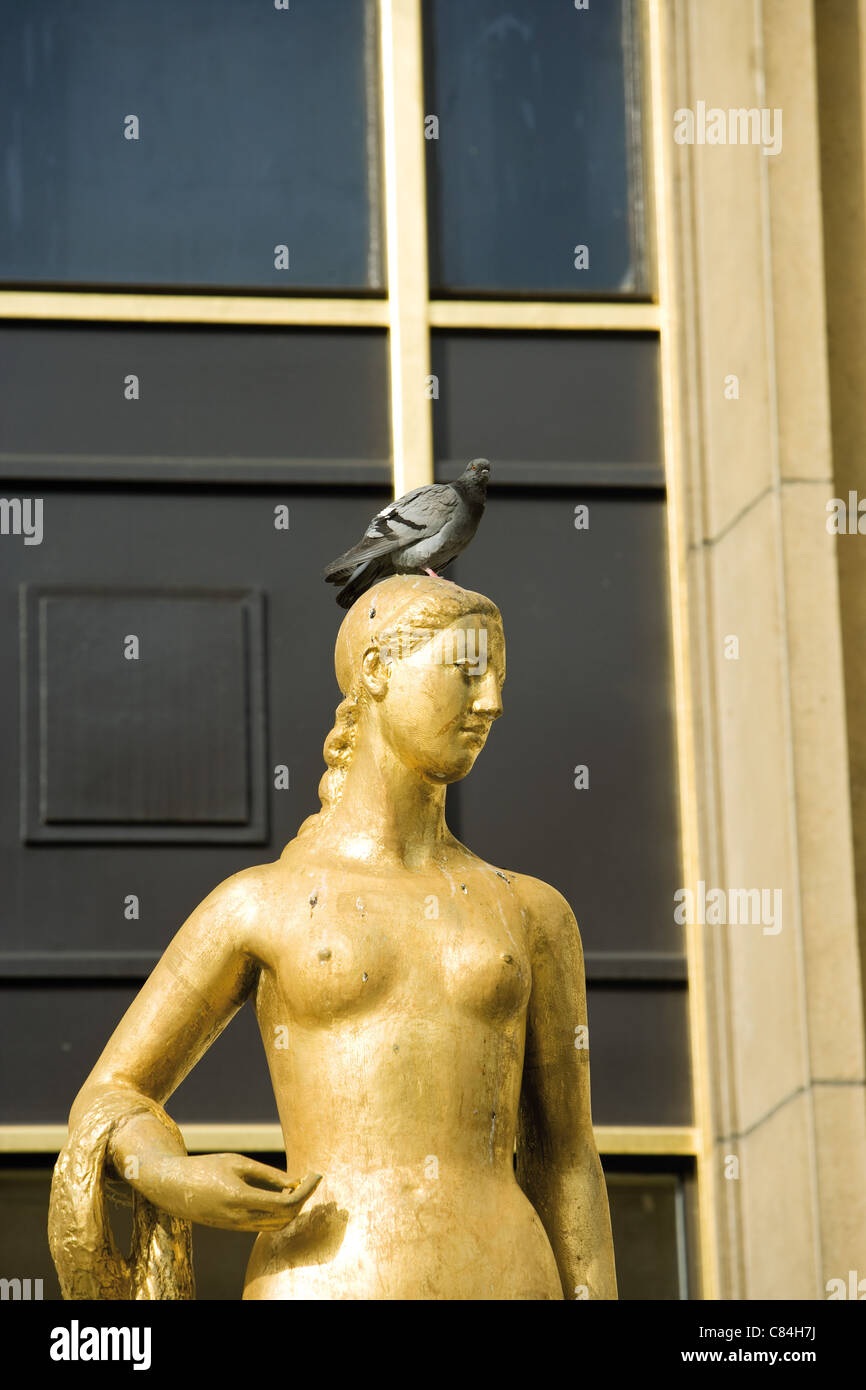 Pigeon perched on golden statue Stock Photo