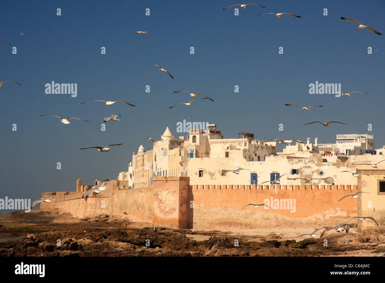 Gulls swirl through the sky above the medina/old town at Essaouira on the Atlantic coast of Morocco, north Africa Stock Photo