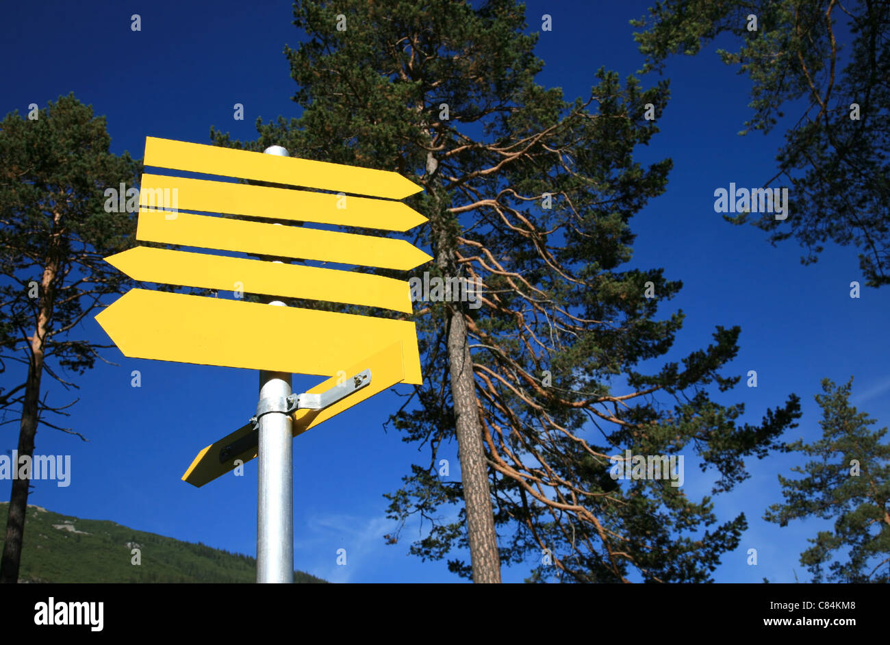 Blank yellow directional signs Stock Photo