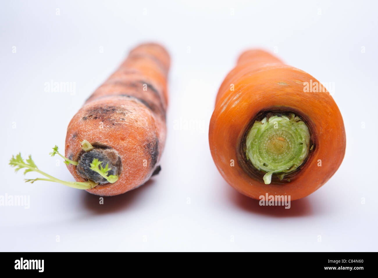 The fresh carrot and rotten another carrot Stock Photo - Alamy