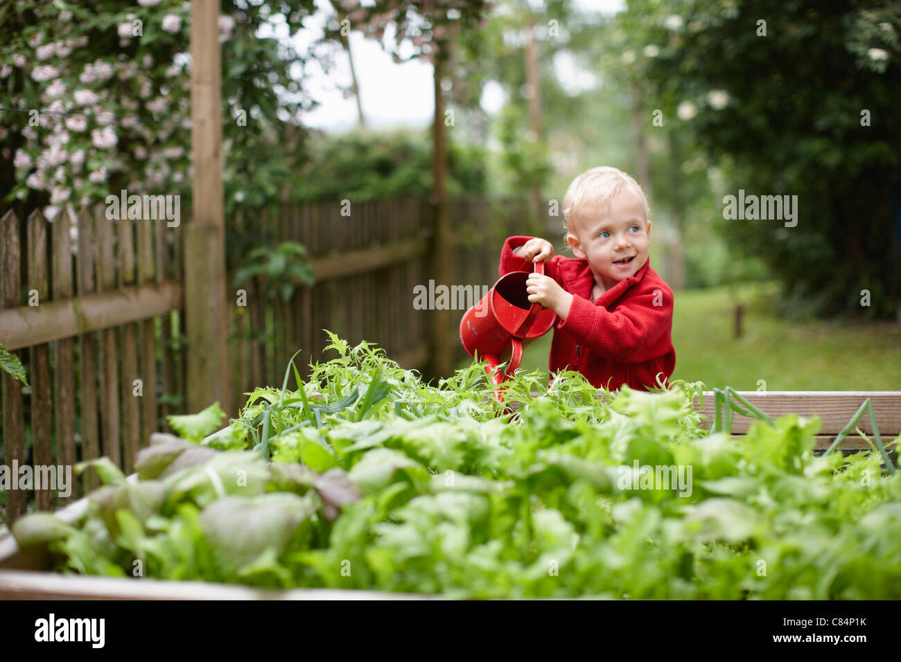 Toddler boy watering plants in backyard Stock Photo - Alamy