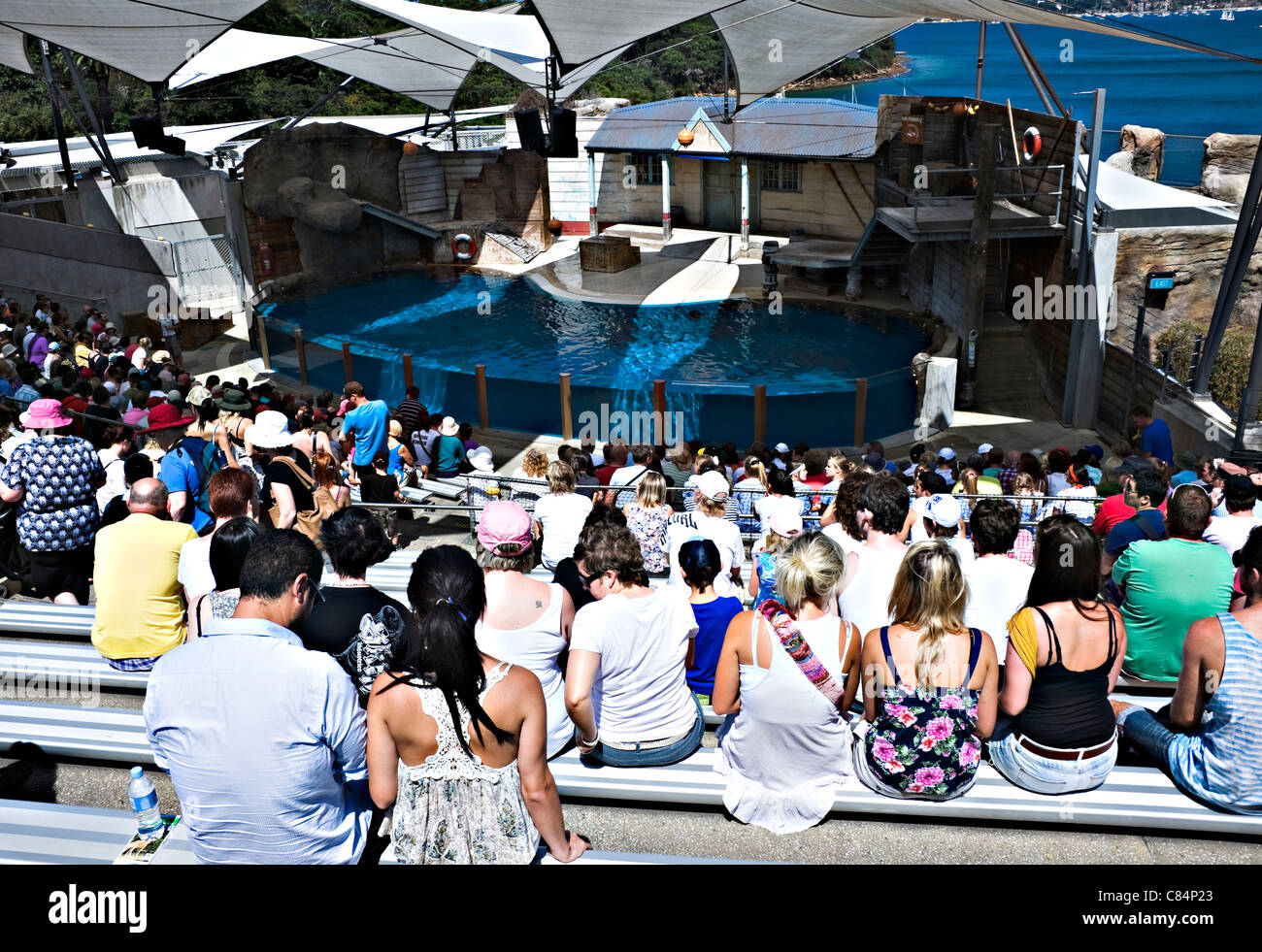 A Crowd of Visitors Await the Start of a Performance in the Seal Enclosure at Taronga Zoo Sydney New South Wales Australia Stock Photo