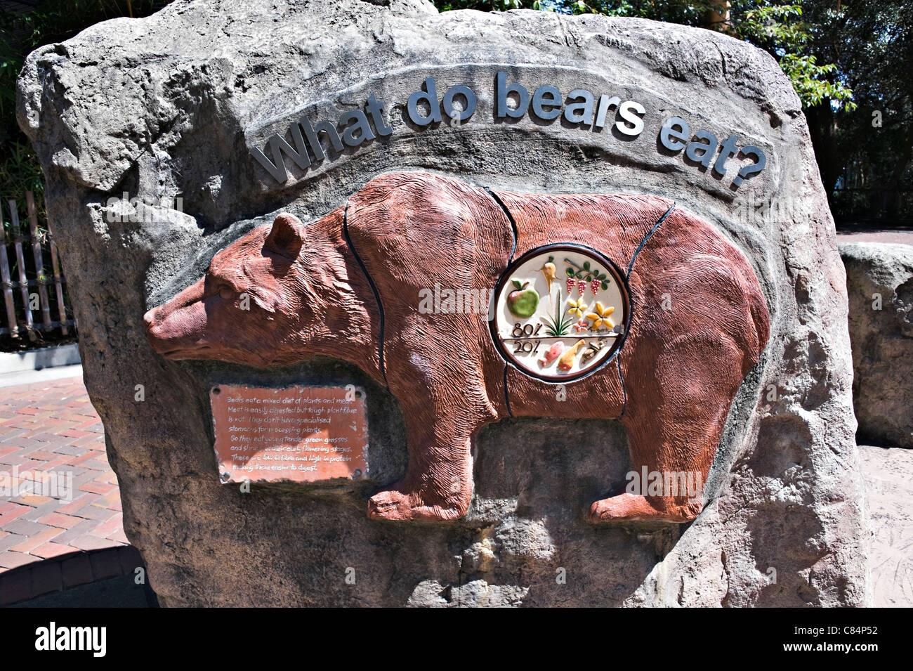 A Stone Sculpture of a Brown Bear Advising Diet 'What do Bears Eat' at Taronga Zoo Sydney New South Wales Australia Stock Photo