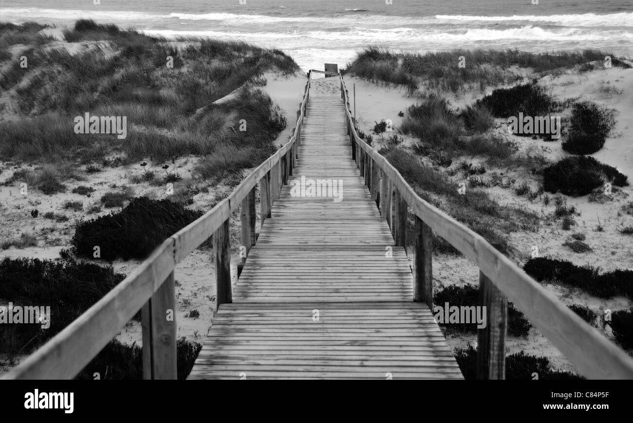 Coastal boardwalk through sand dunes leading down to the ocean Stock Photo
