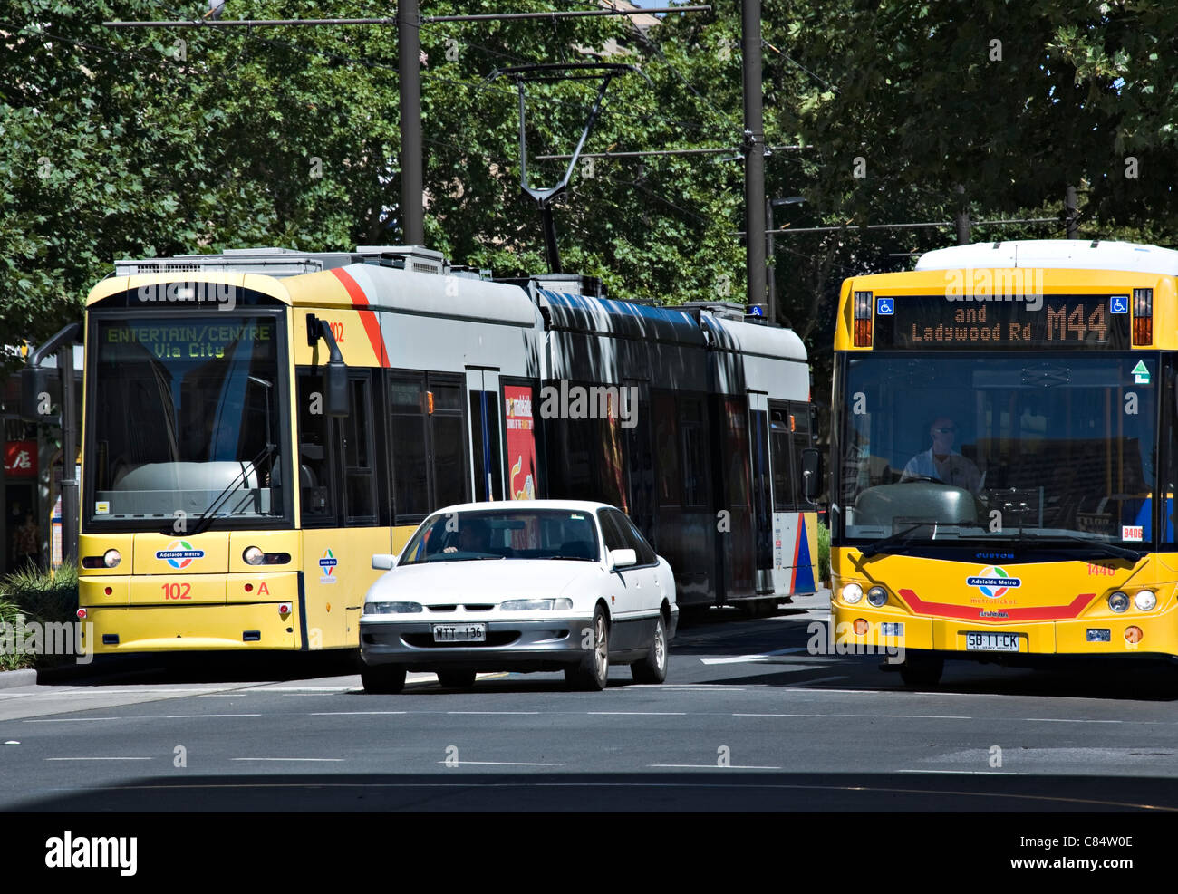 A Tram and Single Decker Bus form Part of the Adelaide Transport System in King William Street South Australia Stock Photo