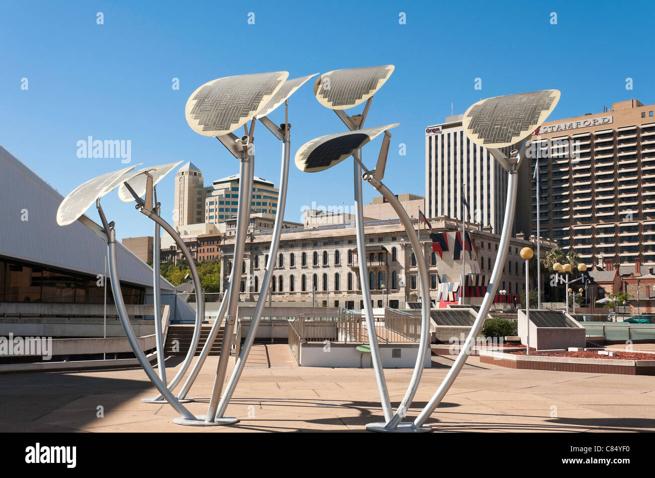 The Solar Paneled Mallee Tree Sculpture Outside the Adelaide Festival Centre with Parliament