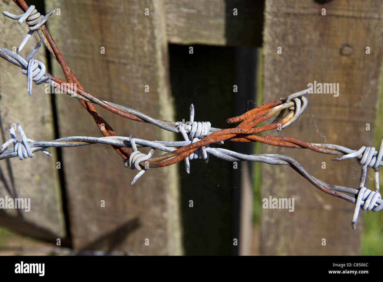 Rusty old barbed wire outside a church throwing thoughts upon the crown of thorns on Christ's head Stock Photo