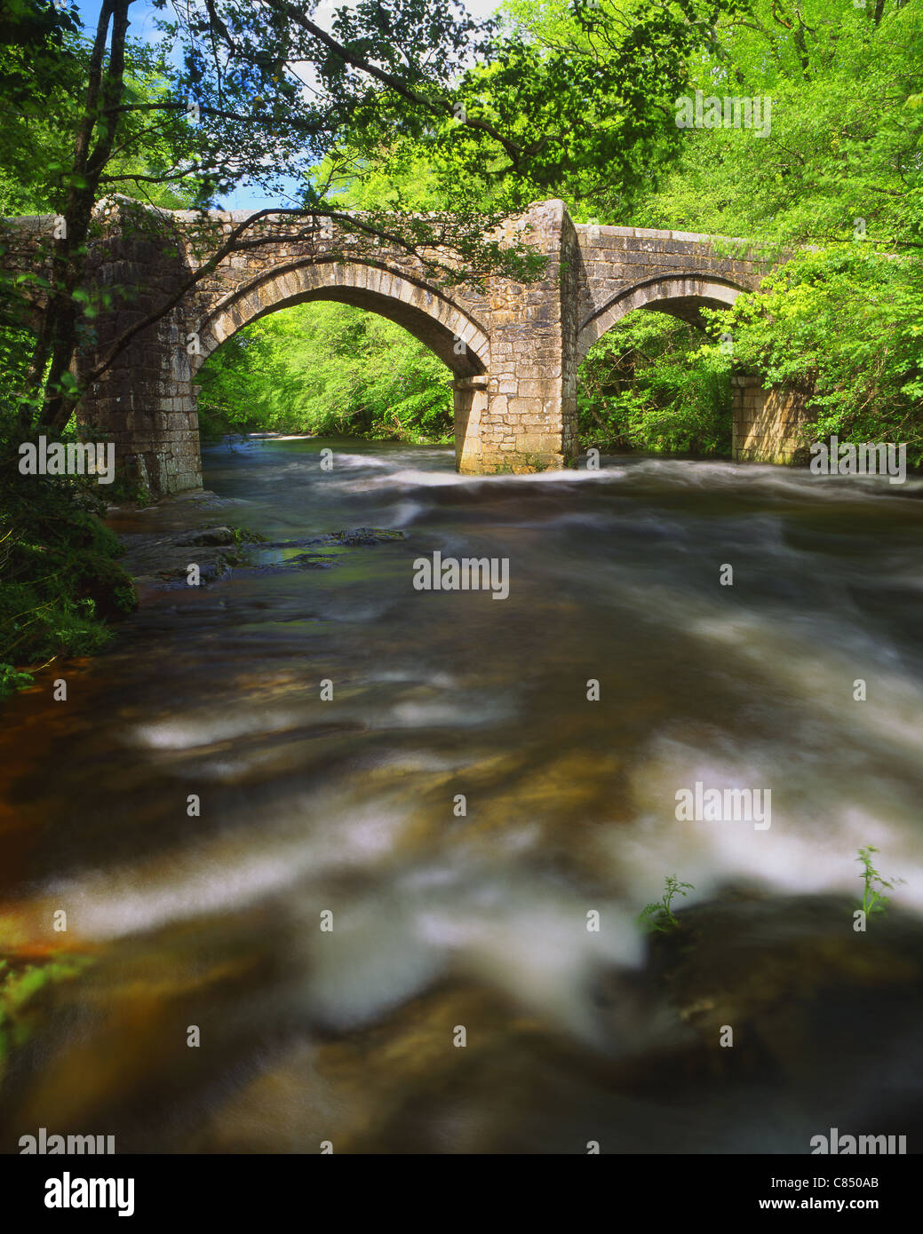 UK,Devon,Dartmoor,New Bridge & River Dart Stock Photo Alamy
