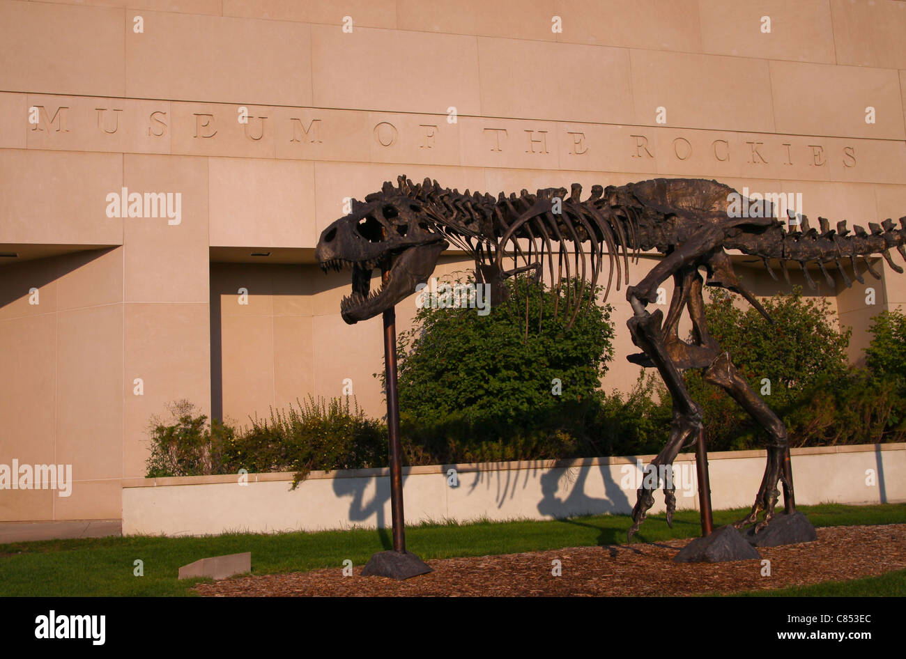 'Big Mike' in front of the Museum of the Rockies in Bozeman, Montana is famous for its dinosaur fossils and natural history. Stock Photo