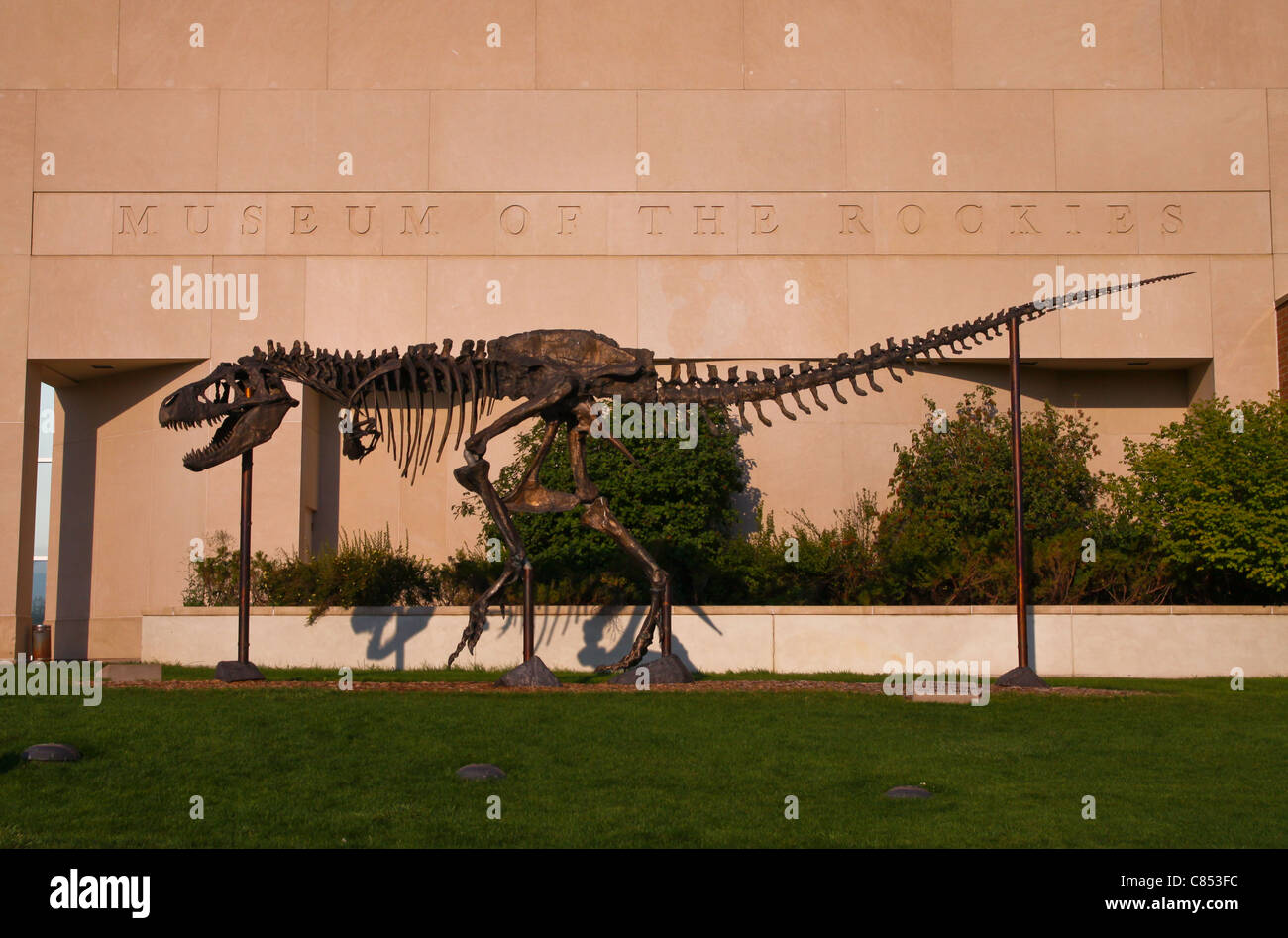 'Big Mike' in front of the Museum of the Rockies in Bozeman, Montana is famous for its dinosaur fossils and natural history. Stock Photo