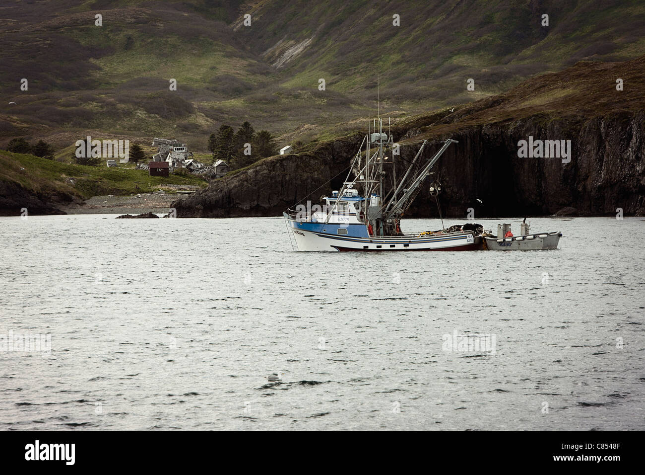 Seine Net Fishing in Southeast Alaska Stock Photo - Alamy