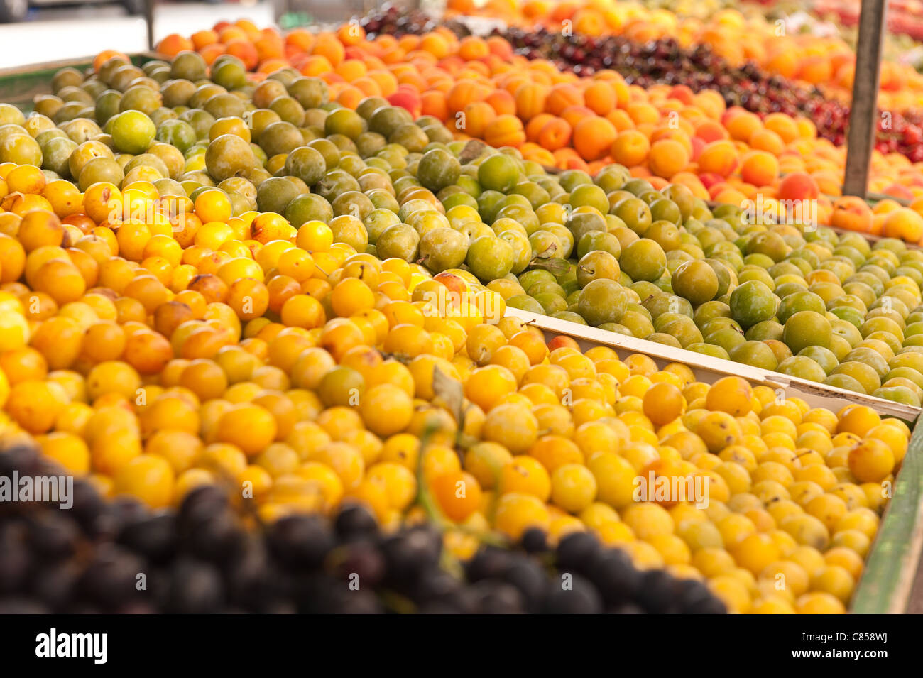 Fresh organically produced fruit, apricots cherries greengages plums