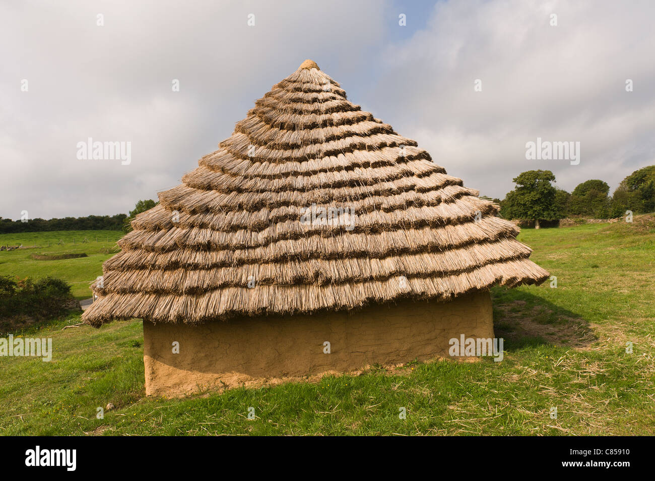 Thatched roof and bronze age style dwelling with timber and mud walls ...
