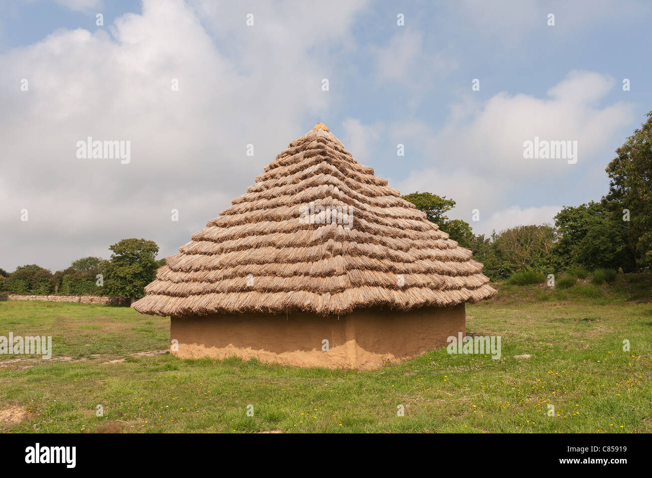 Thatched roof and bronze age style dwelling with timber and mud walls ...