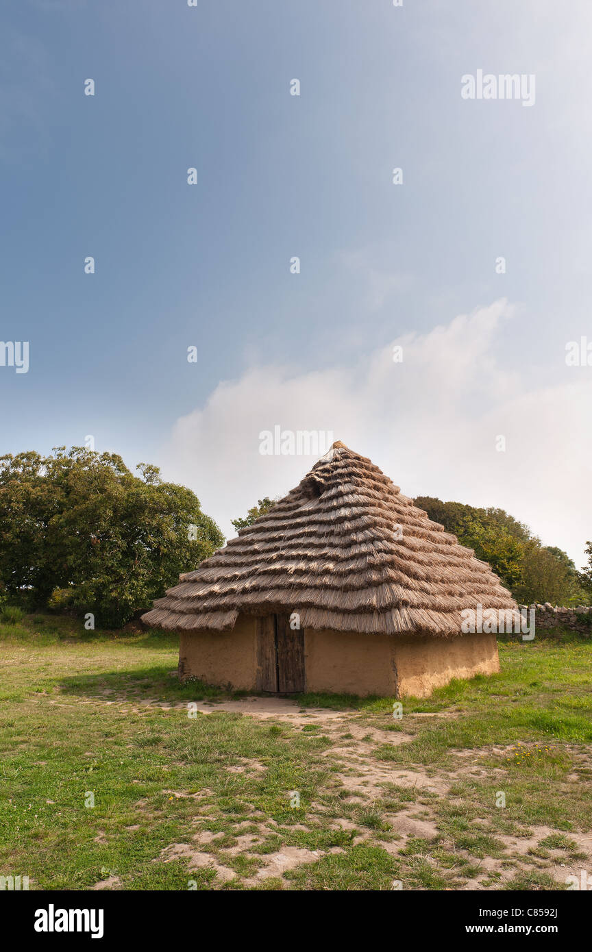 Thatched roof and bronze age style dwelling with timber and mud walls ...