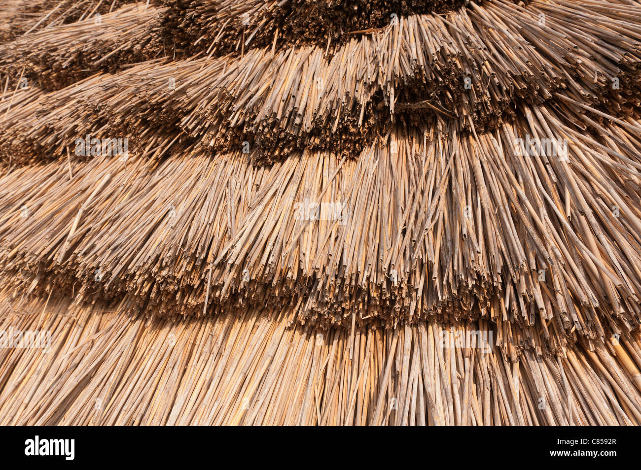 Thatched roof and bronze age style dwelling with timber and mud walls ...