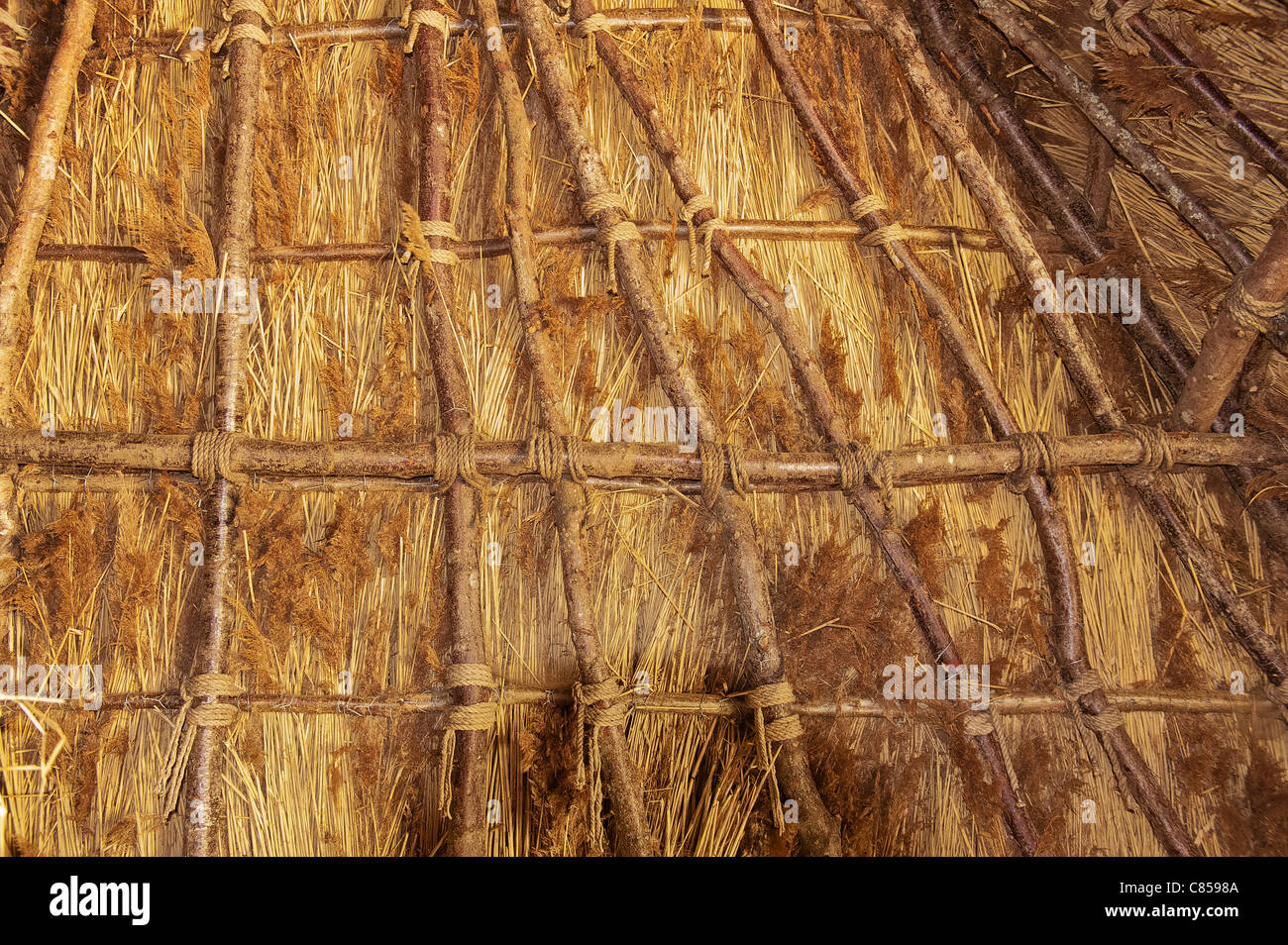 Inside view thatched roof and bronze age style dwelling with timber and ...