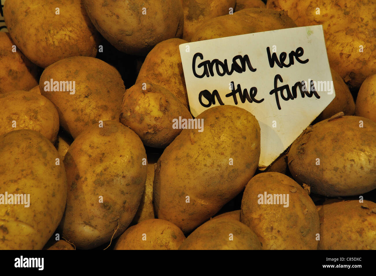 Potatoes grown on the farm ready to sell UK Stock Photo