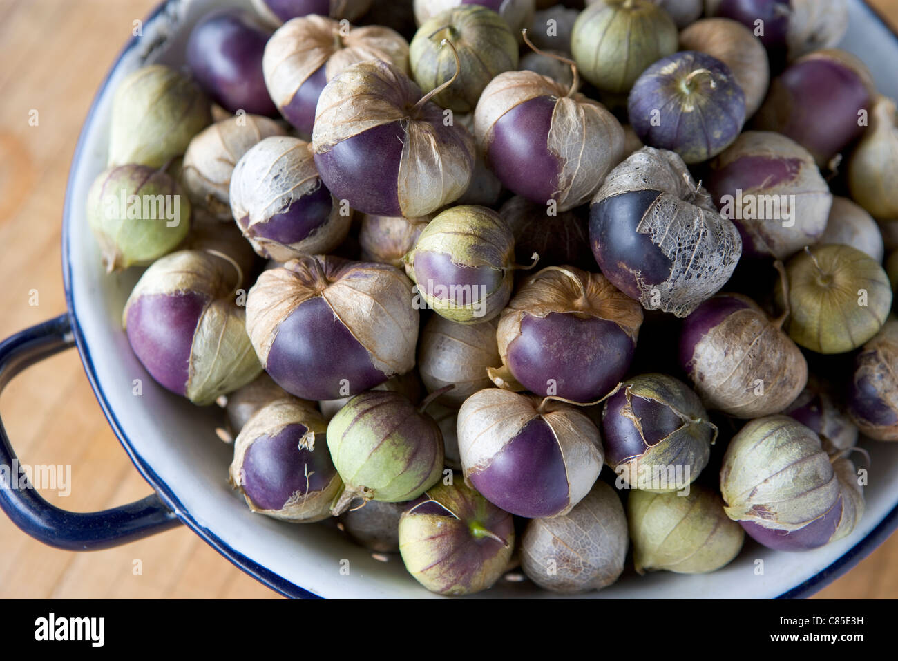 Purple Heirloom tomatillos in an old metal collander. Physalis philadelphica is a plant of the nightshade family. Stock Photo