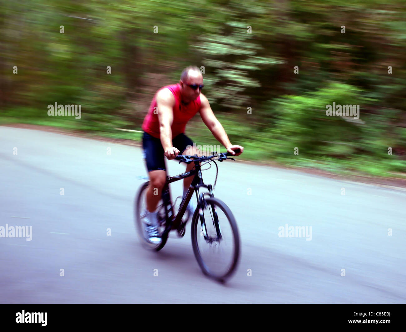 Riding bicycle in a park Stock Photo