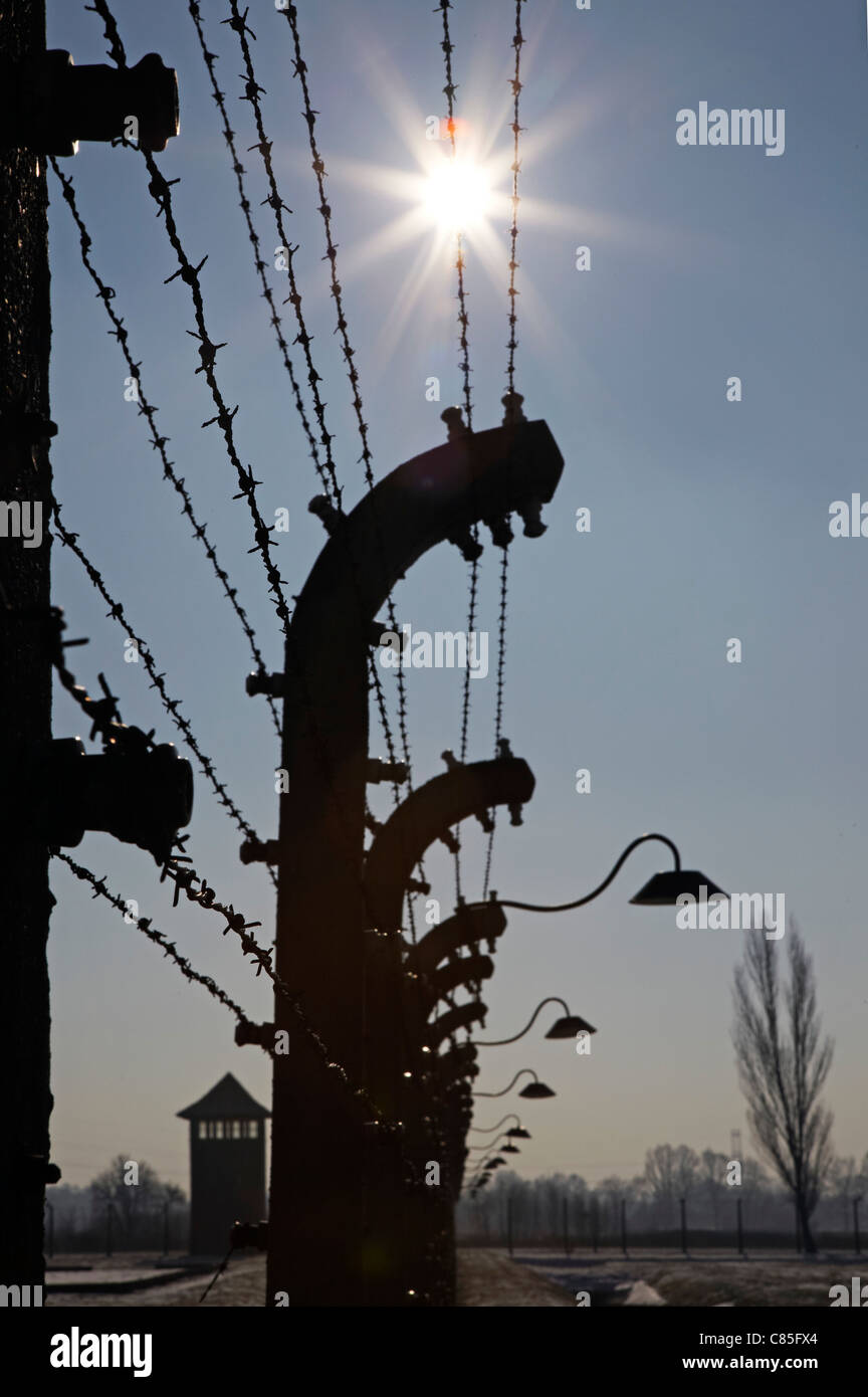 Sun gleeming through barbed wire hires stock photography and images