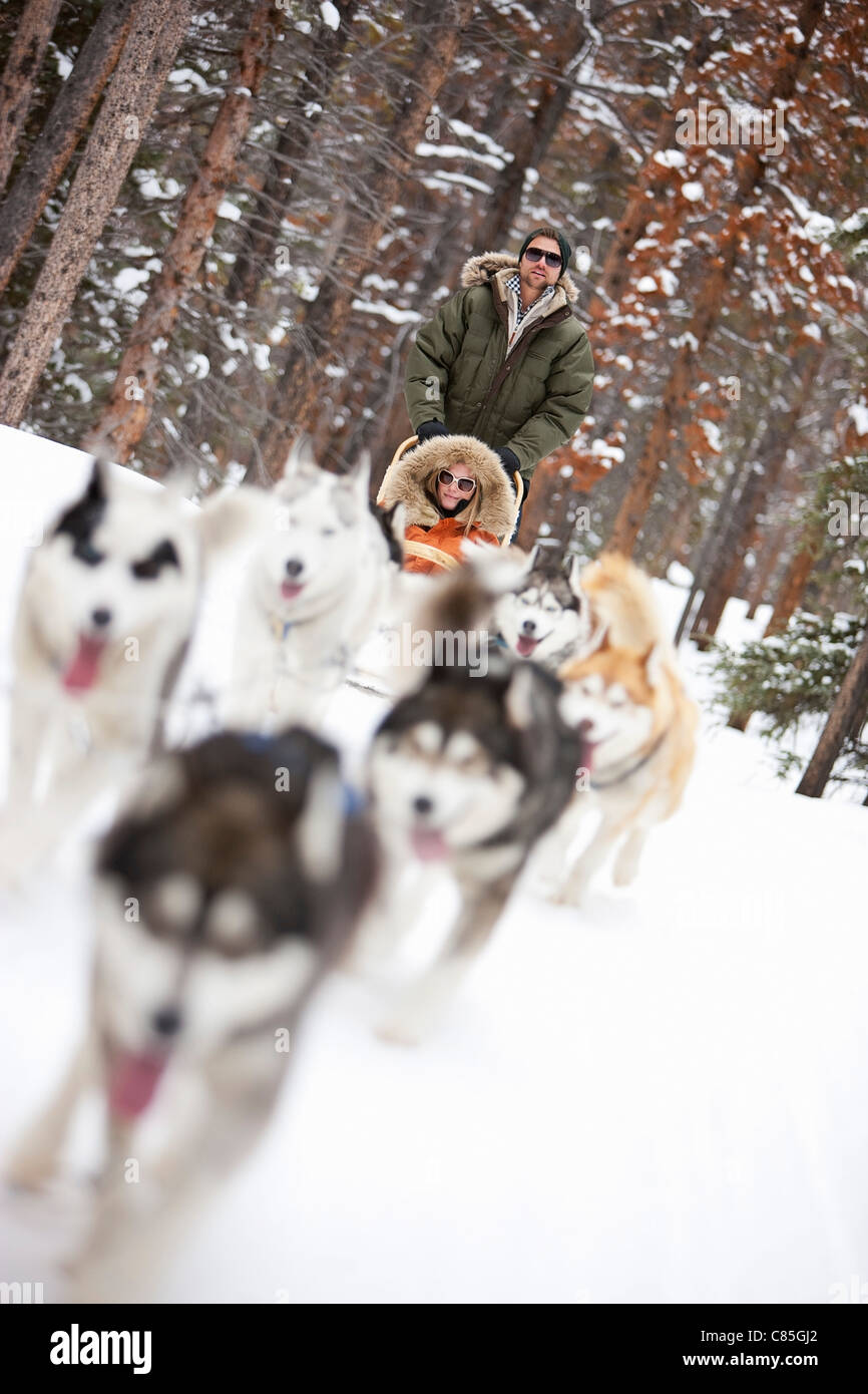 Couple Dog Sledding, Frisco, Summit County, Colorado, USA Stock Photo