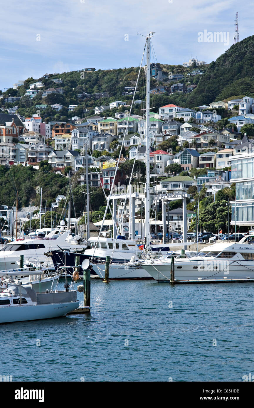 Boats in Chaffers Marina with Hillside Housing Office Buildings and Mount Victoria Wellington North Island New Zealand Stock Photo