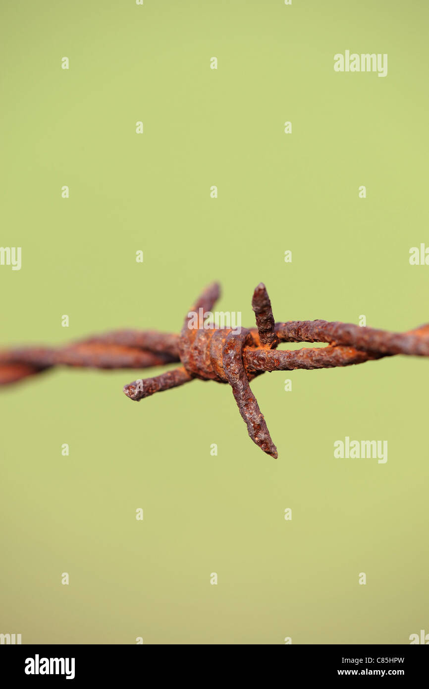 Rusty Barbed Wire, Hesse, Germany Stock Photo