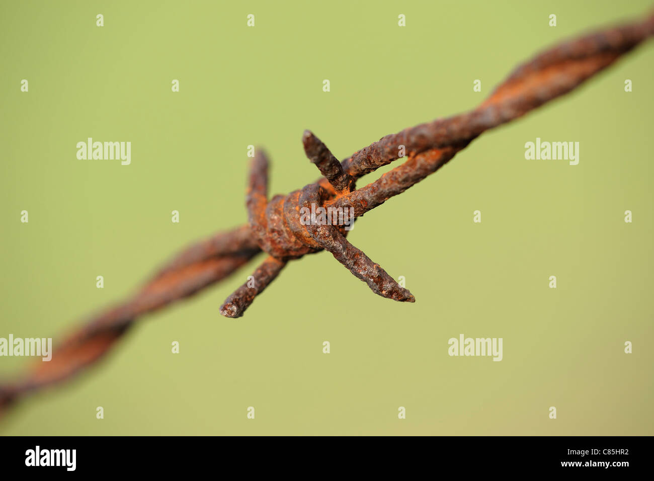 Rusty Barbed Wire, Hesse, Germany Stock Photo