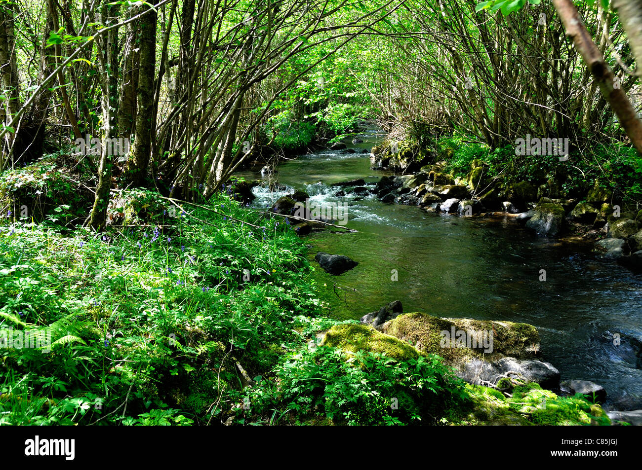 Circular walk of Moulin Foulon, River la Sonce, Fosse Arthour site (Orne, Normandy, France). Stock Photo