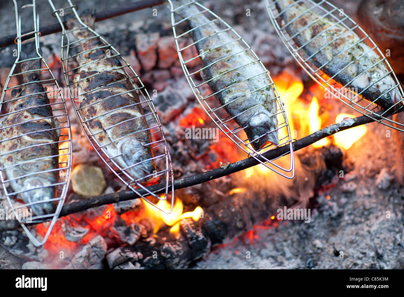Grilling fish on campfire Stock Photo Alamy
