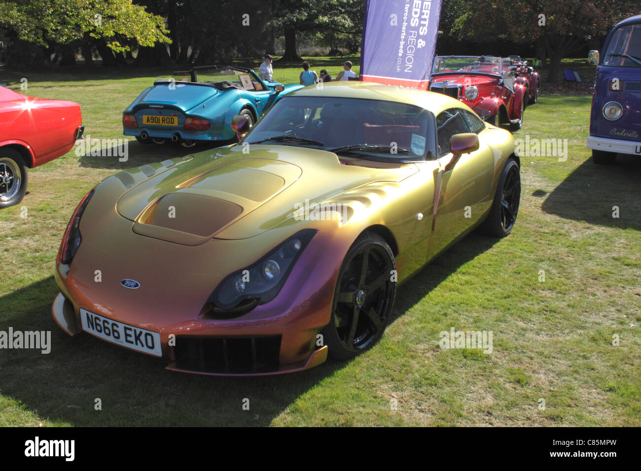 Tvr Sagaris