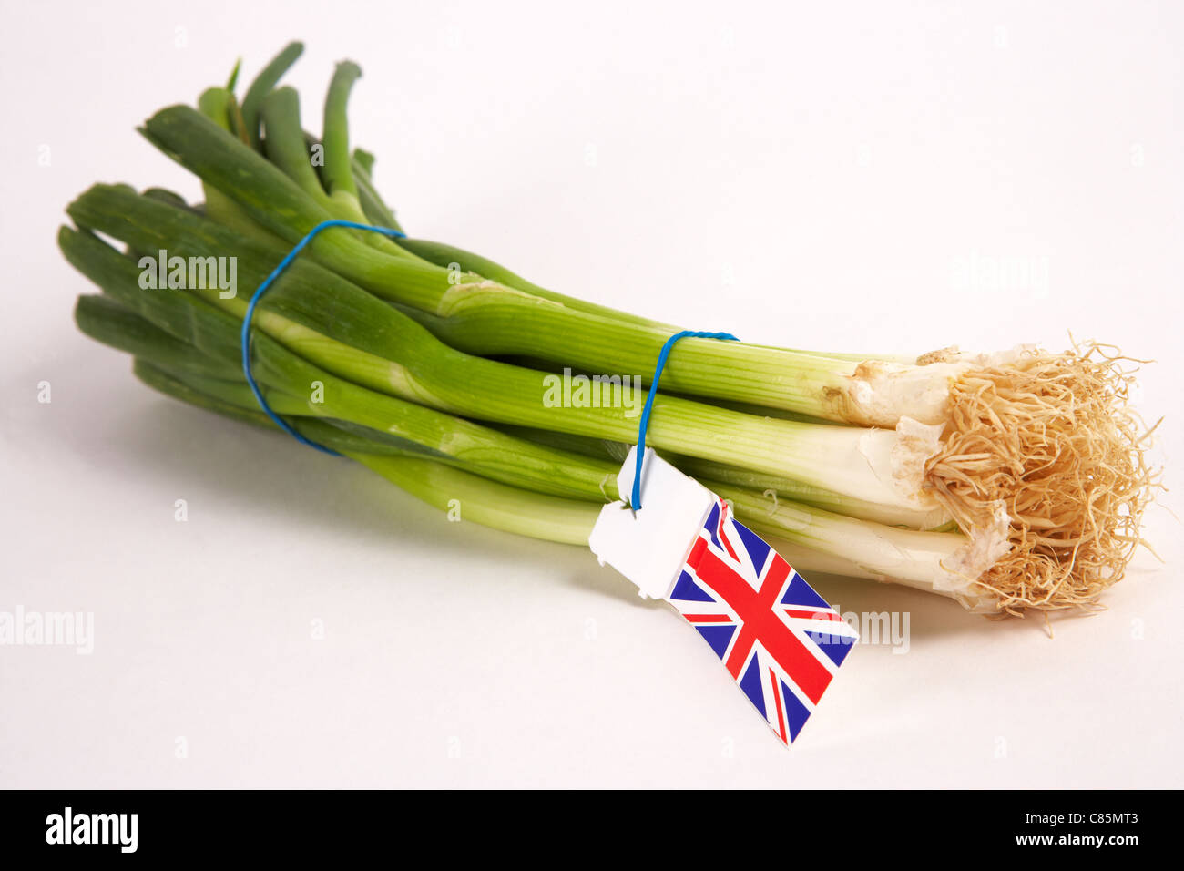 Bunch of English salad onions Stock Photo Alamy