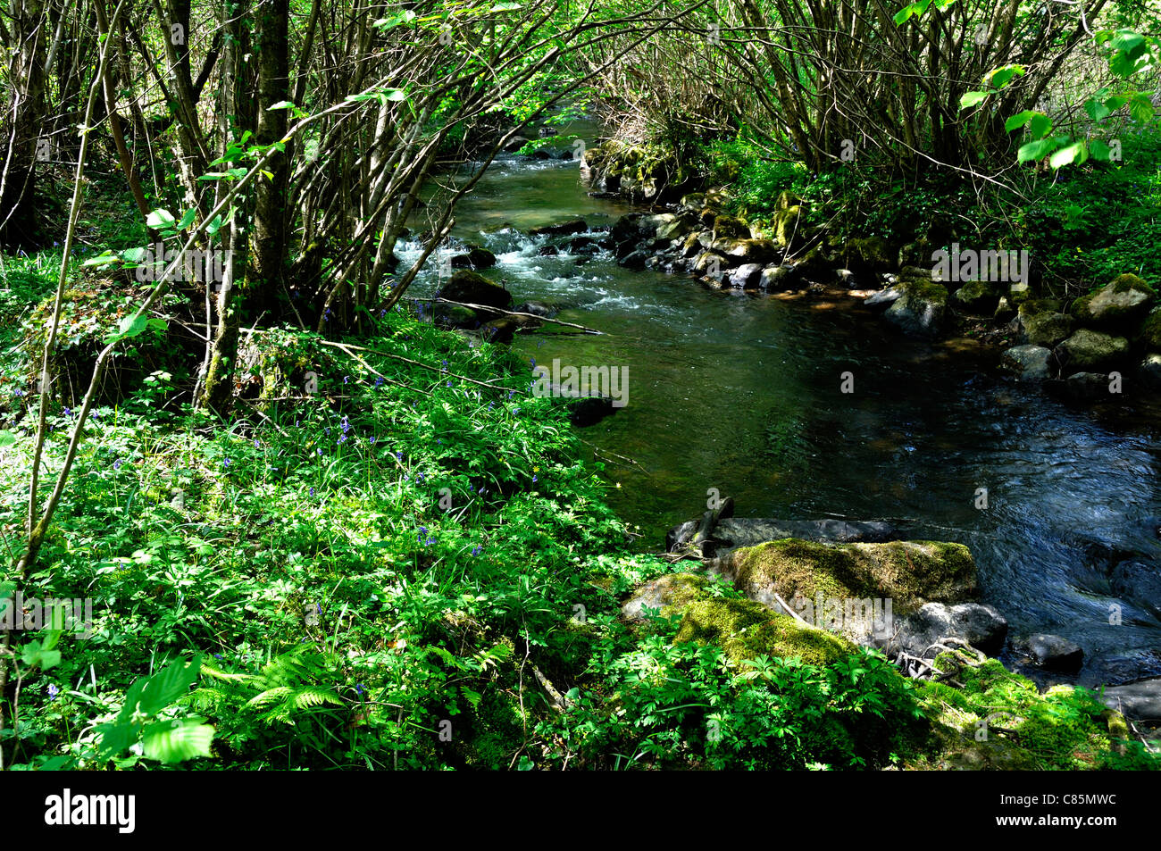 Circular walk of Moulin Foulon, River la Sonce, Fosse Arthour site (Orne, Normandy, France). Stock Photo