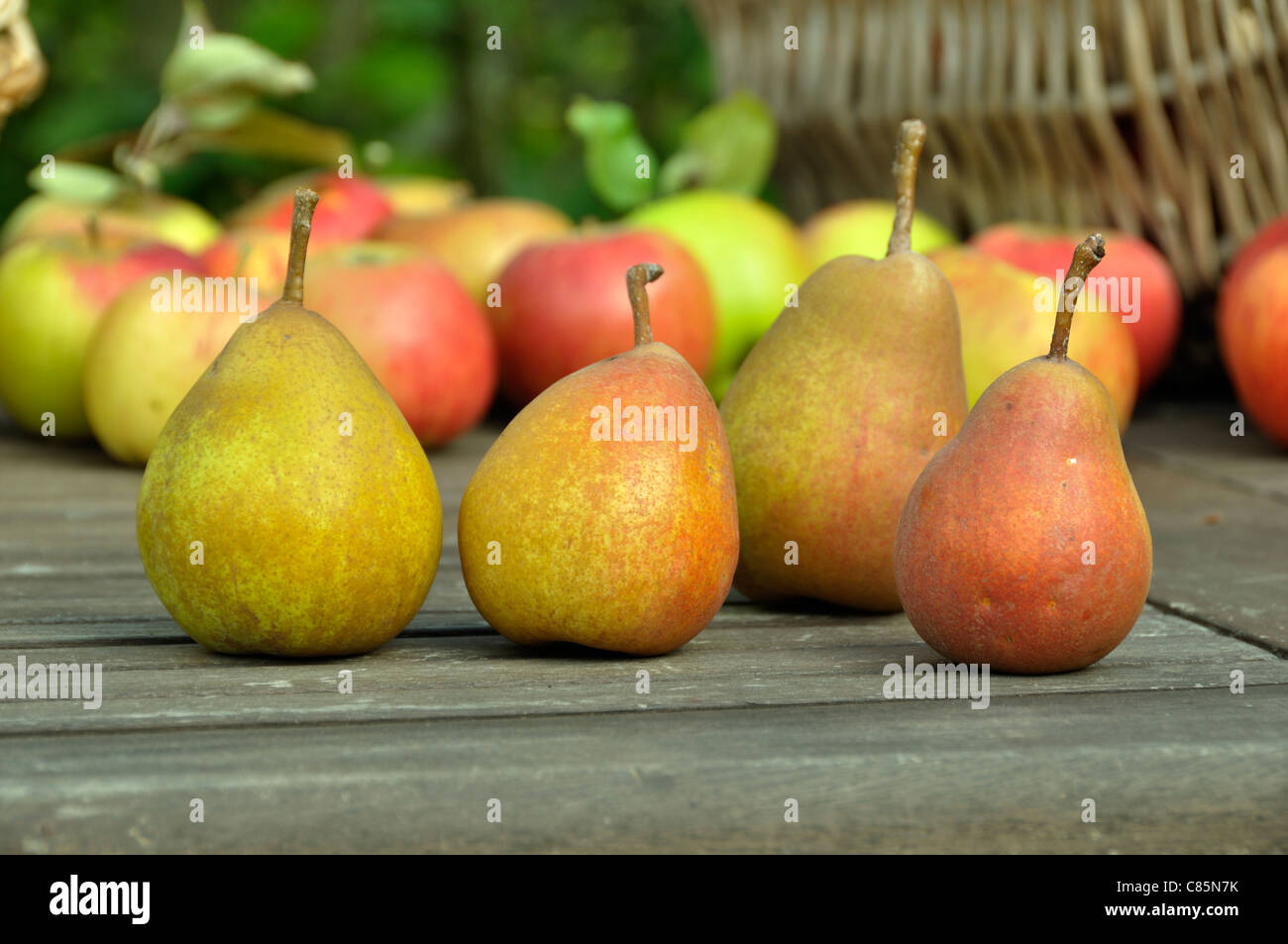 Pears : Beurré Hardy, garden table Stock Photo