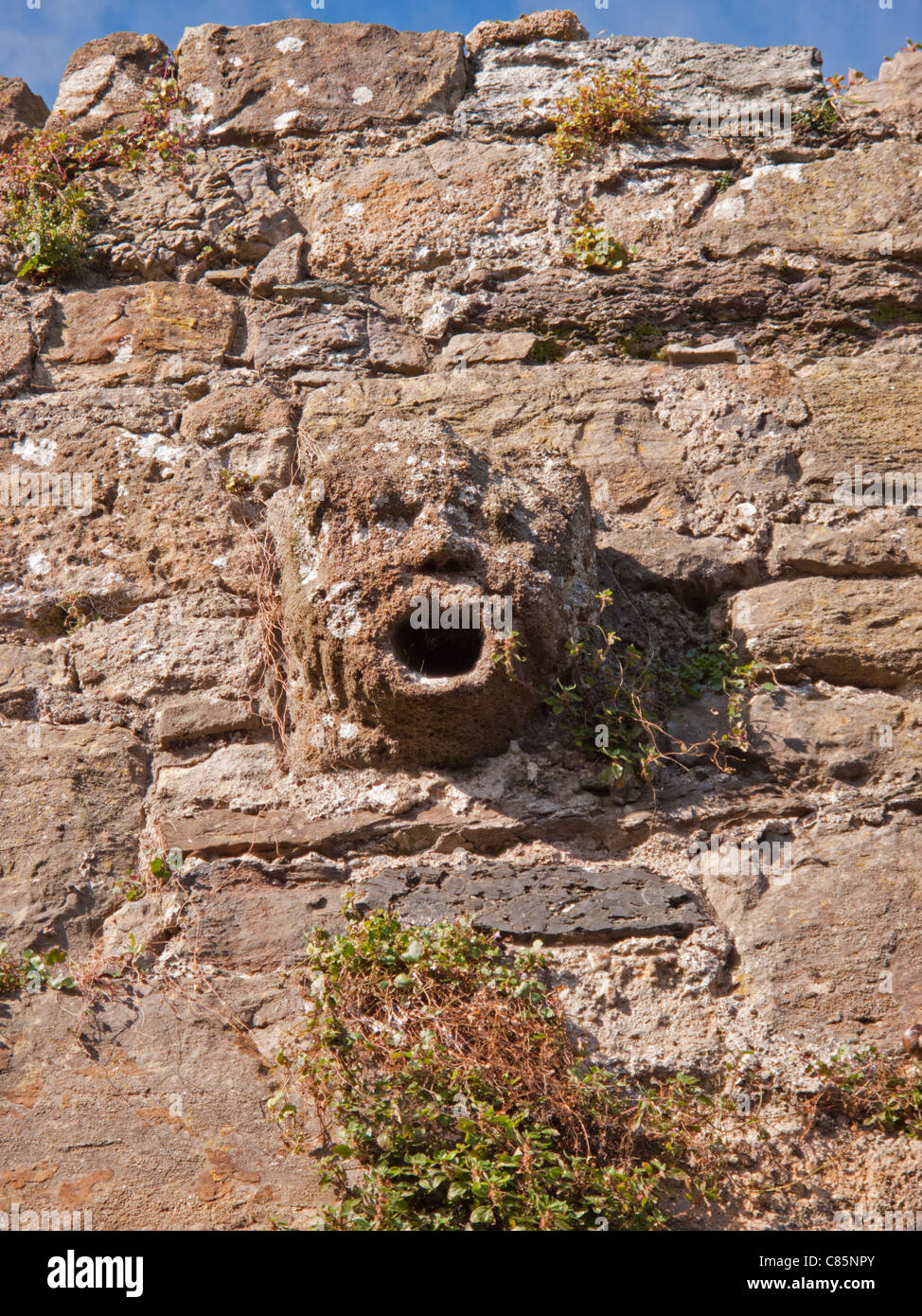 Beaumaris Castle, Wales. Stock Photo