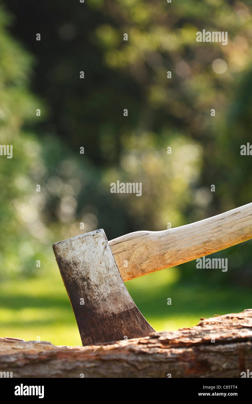 Axe for chopping wood embedded in a tree stump Stock Photo