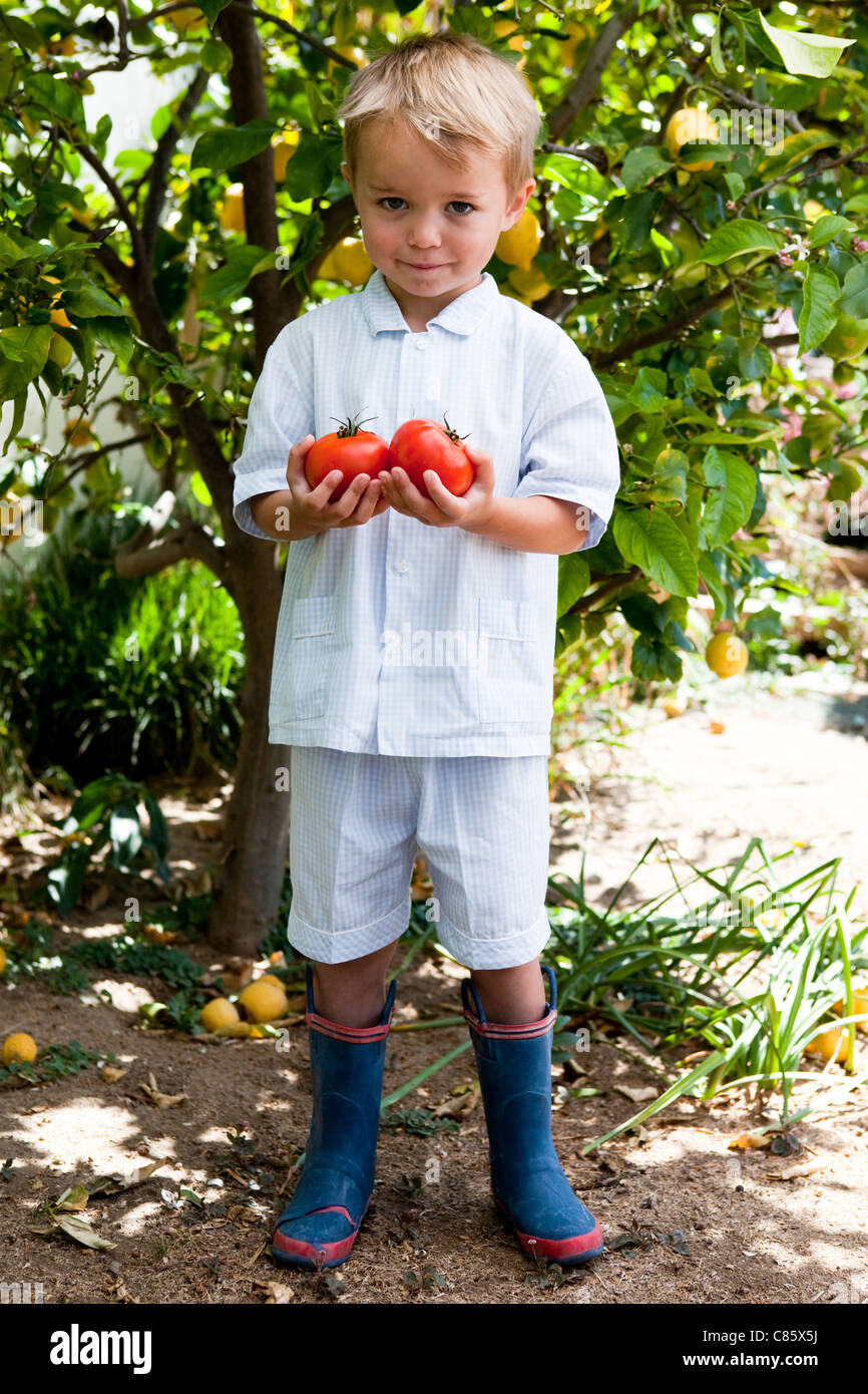 Little boy holding fresh tomatoes Stock Photo - Alamy