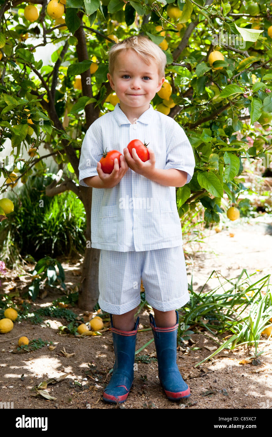 Little boy holding fresh tomatoes Stock Photo - Alamy