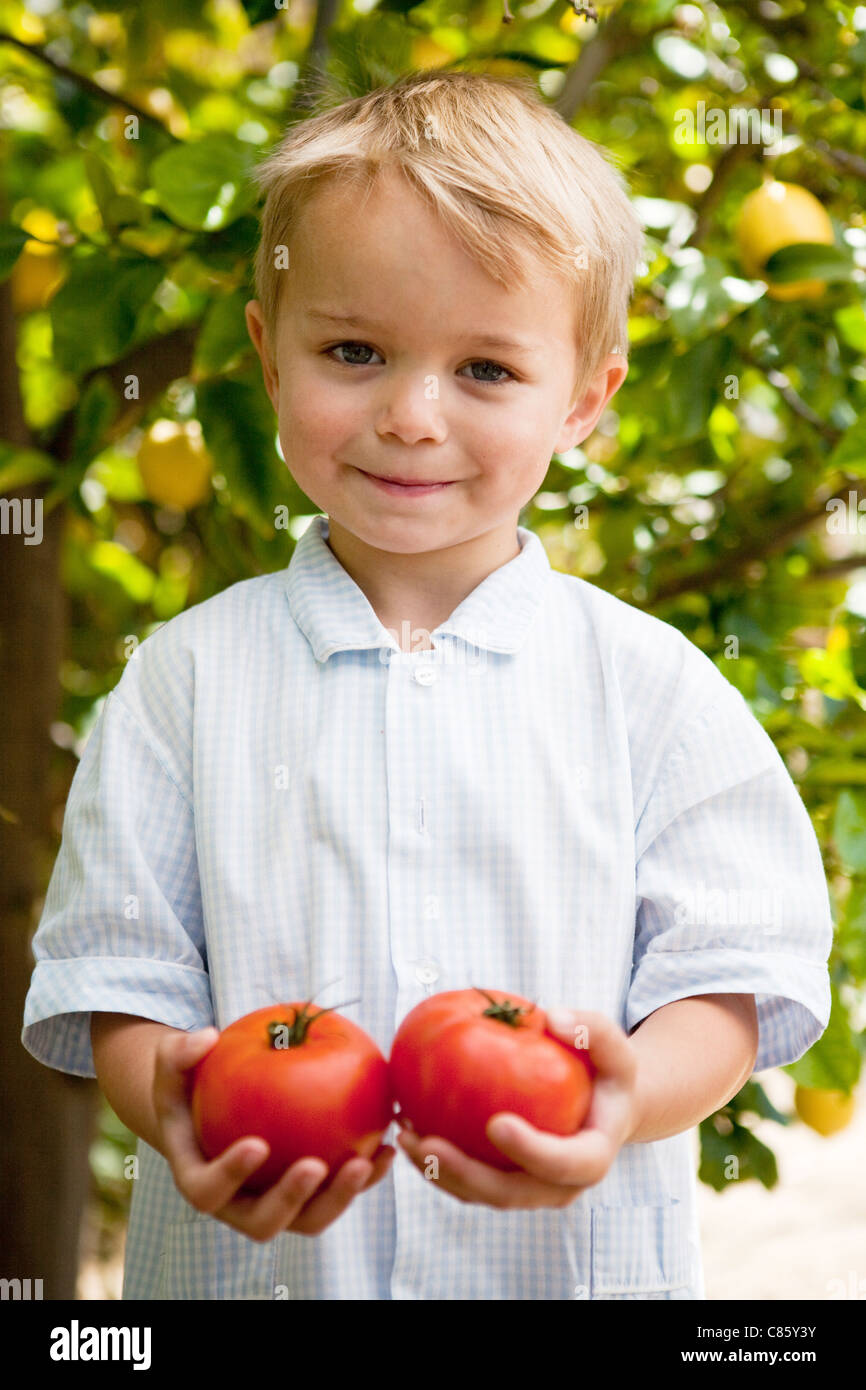 Little boy holding tomatoes Stock Photo - Alamy
