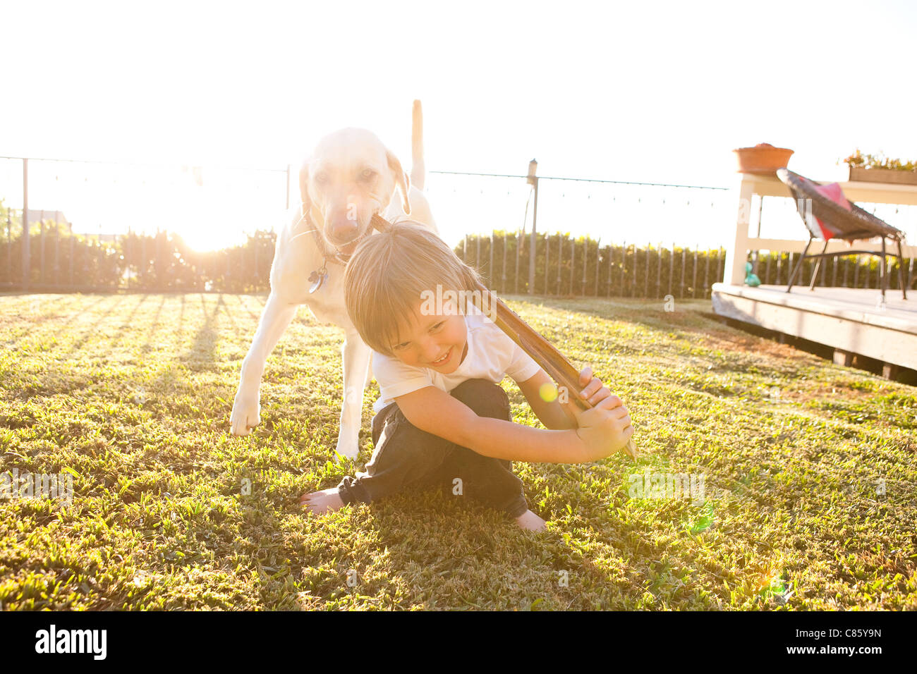 Boy struggle with dog leash hires stock photography and images Alamy