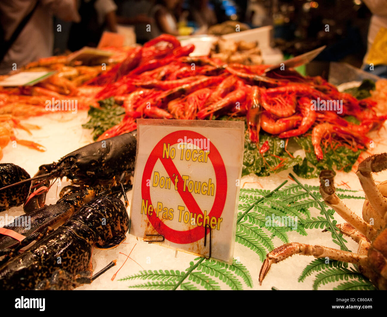 Don't Touch Sign at Seafood Market Stock Photo