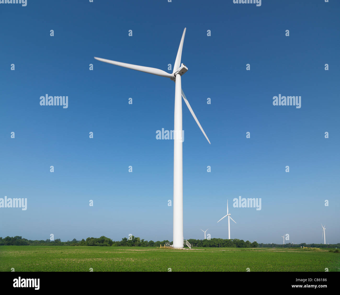 Wind turbine generators in a green field. Southern Ontario, Canada
