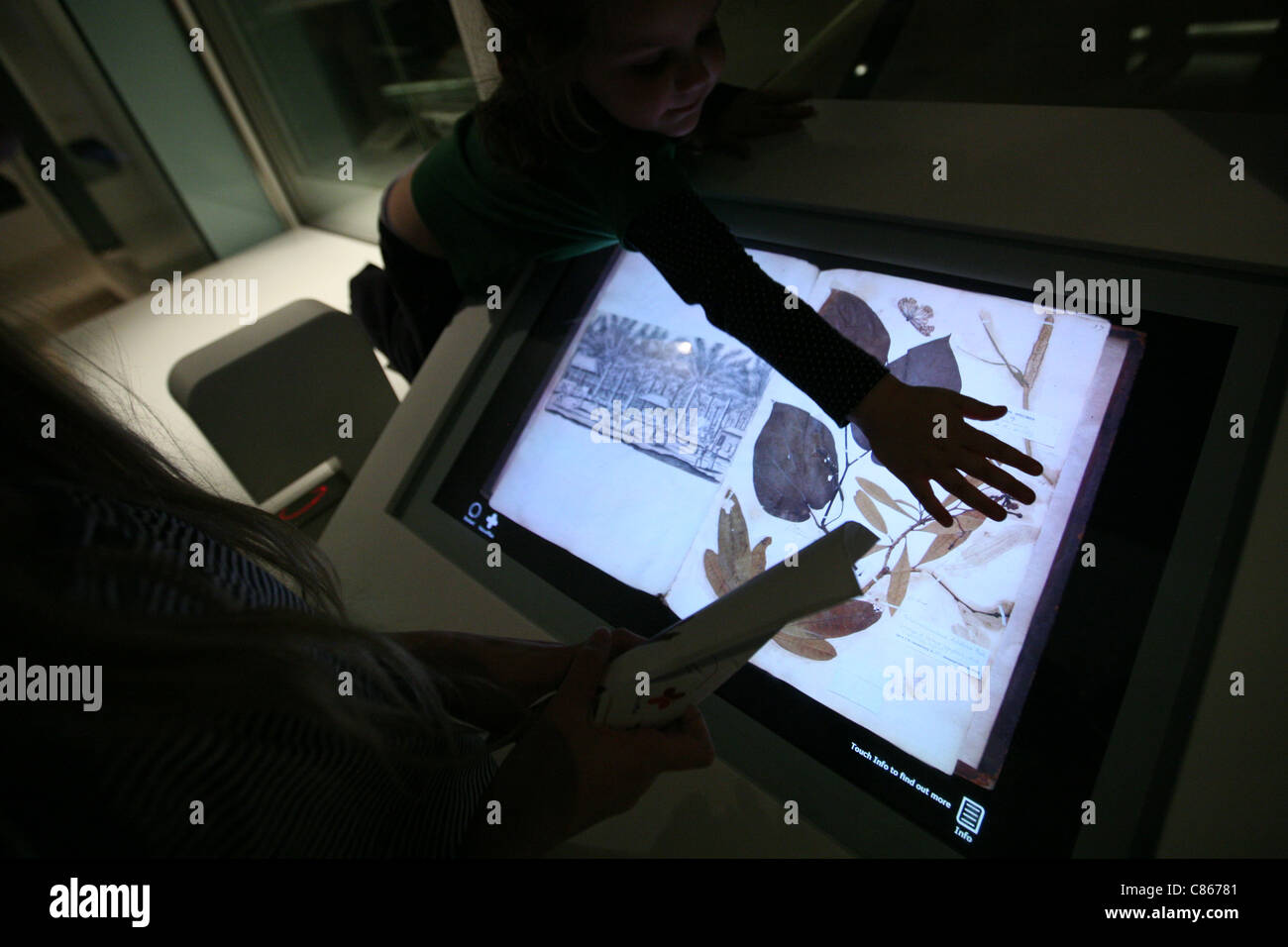 The Darwin Centre in the Natural History Museum in London, England, UK. Stock Photo