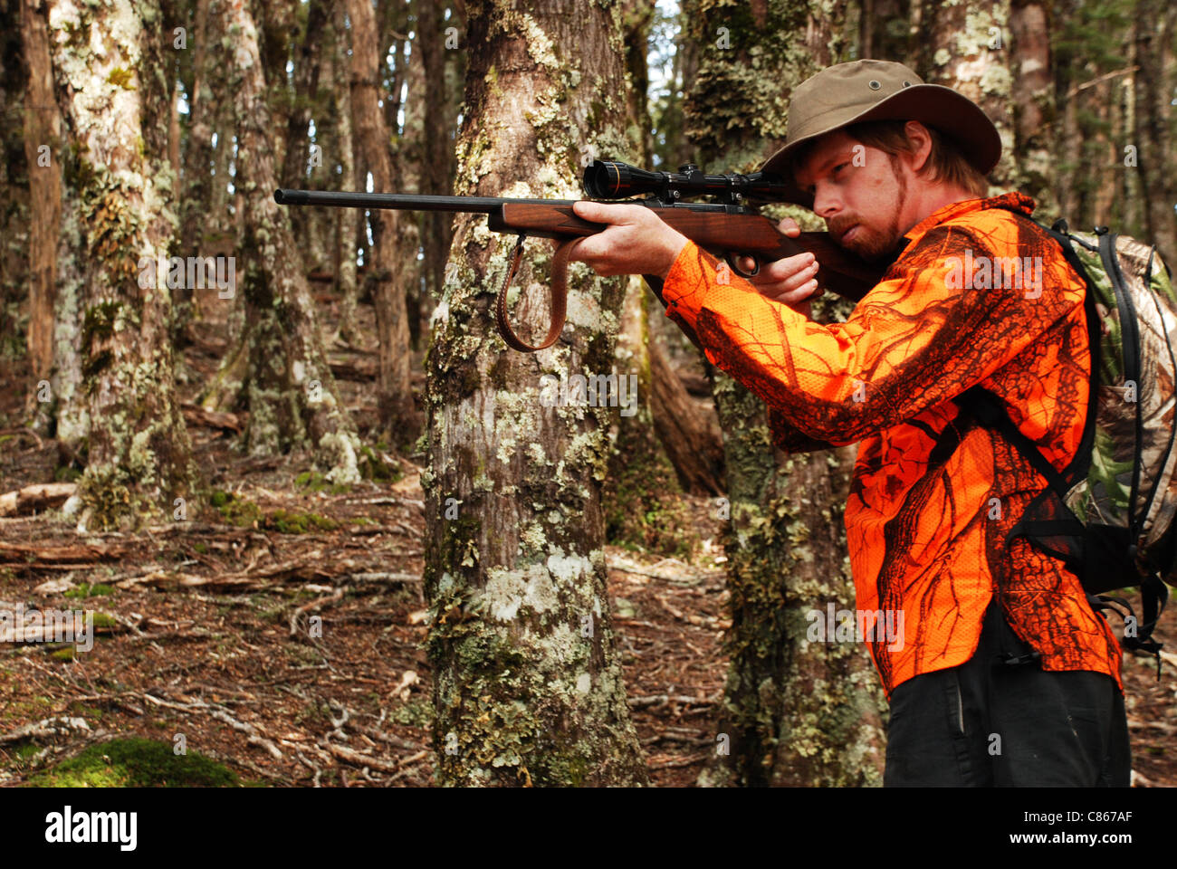 hunter wearing blaze safety clothing aiming rifle in forest Stock Photo